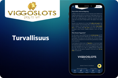 Viggoslots asiakastuki